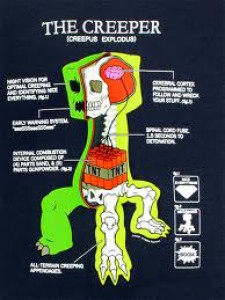 creeper-anatomy-2.jpg